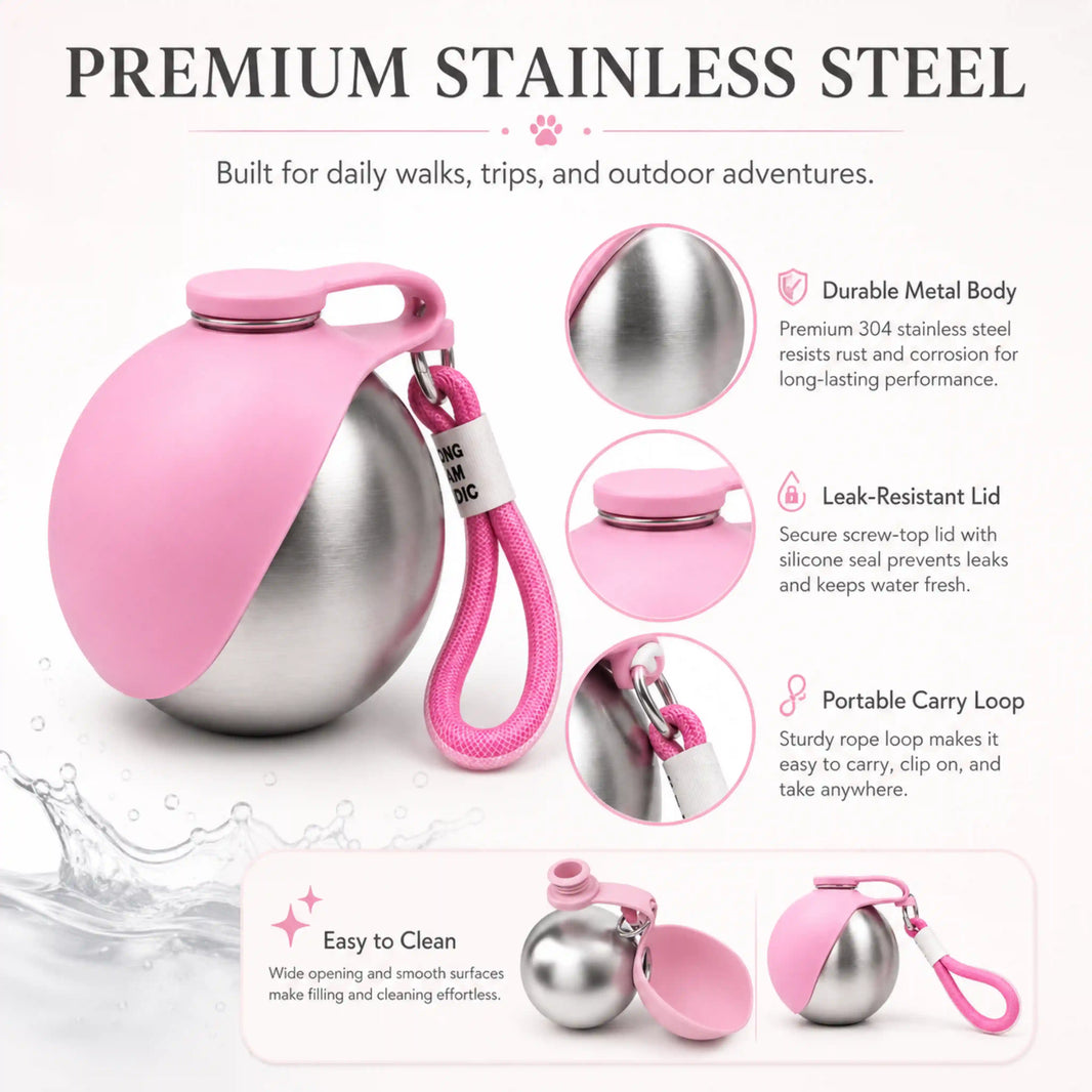 Why This 304 Stainless Steel Pet Water Bottle Is Built for Walks, Trips, and Outdoor Adventures