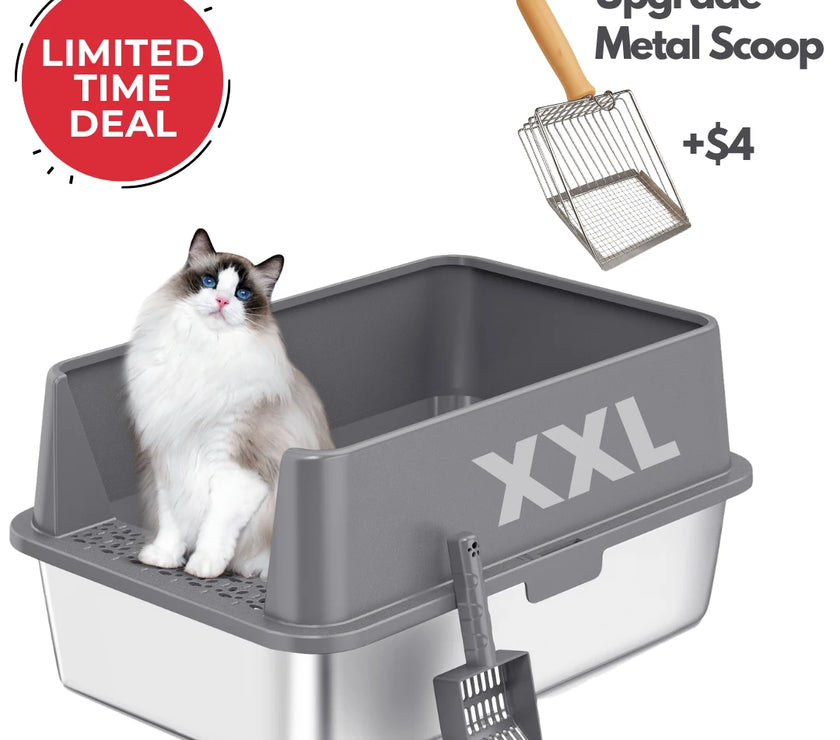 XXL Stainless Steel Cat Litter Box with Lid – High Sides, Low Entry, Easy to Clean, Odor-Free, Anti-Leak | Buy 2 & Save $10