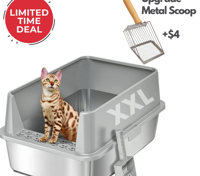 XXL Stainless Steel Cat Litter Box with Lid – High Sides, Low Entry, Easy to Clean, Odor-Free, Anti-Leak | Buy 2 & Save $10