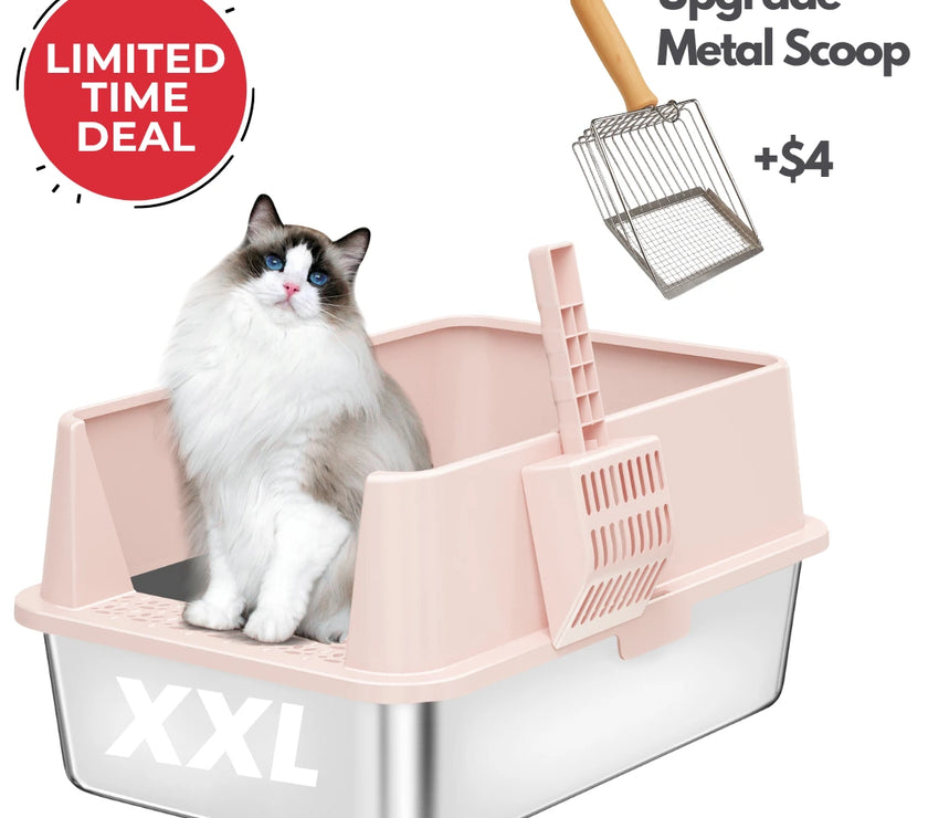 XXL Stainless Steel Cat Litter Box with Lid – High Sides, Low Entry, Easy to Clean, Odor-Free, Anti-Leak | Buy 2 & Save $10