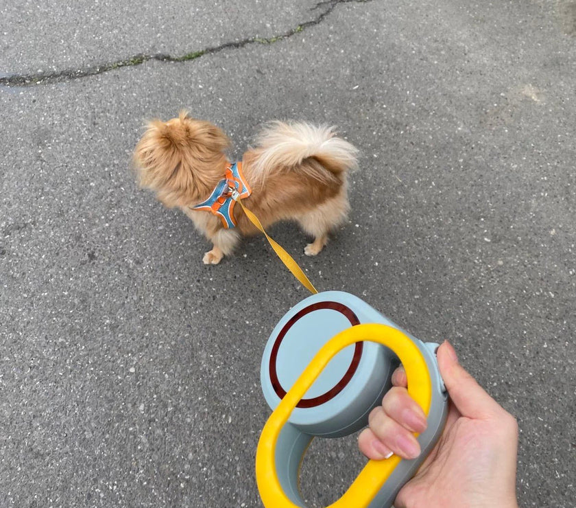Automatic Retractable Pet Leash - Multi - Color Options for Medium to Large Dogs - 4FurBaby