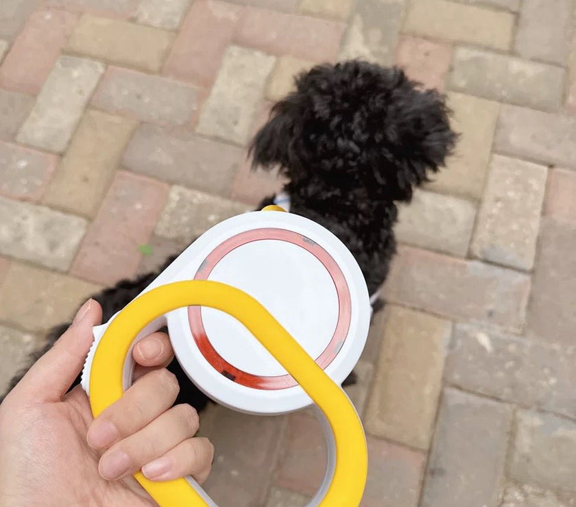 Automatic Retractable Pet Leash - Multi - Color Options for Medium to Large Dogs - 4FurBaby