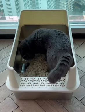 cat_in_4furbaby_cat_litter_box_6