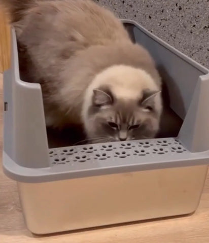 4furbaby extra large litter box 
