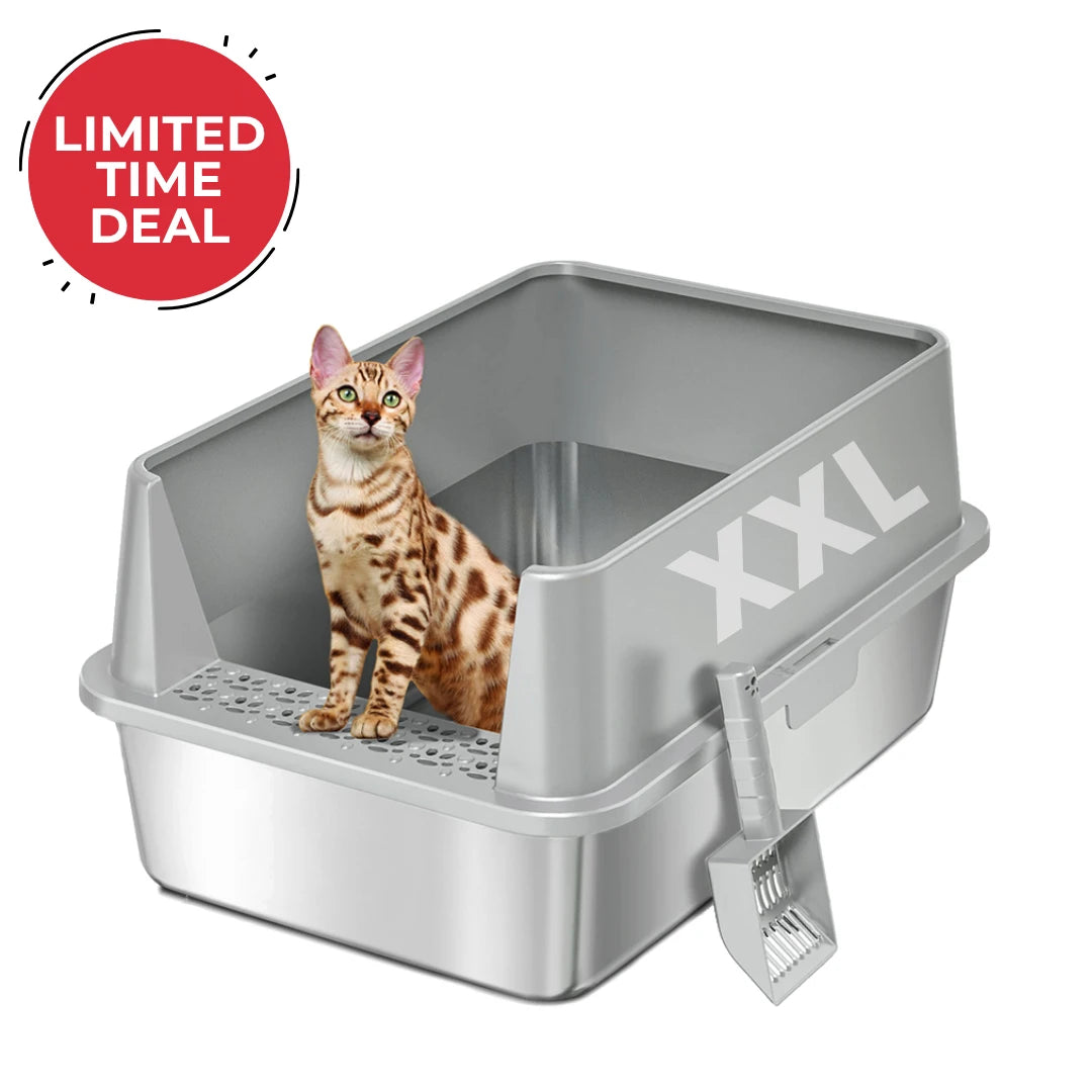 XXL Stainless Steel Cat Litter Box with Lid – High Sides, Low Entry, Easy to Clean, Odor-Free, Anti-Leak | Buy 2 & Save $10