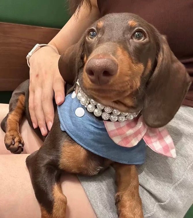 Bead Collar Pearl Necklace Dog Pearl Necklace For Dog And Cat - Main Image