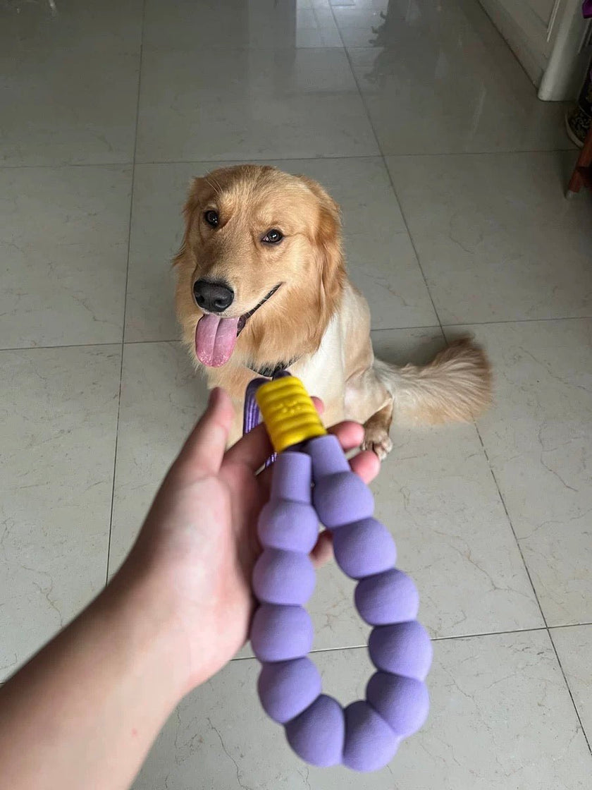 Dual - Stage Anti - Pull Foam Multi - Functional Dog Leash  - The Ultimate Hands - Free Walking Solution - 4FurBaby