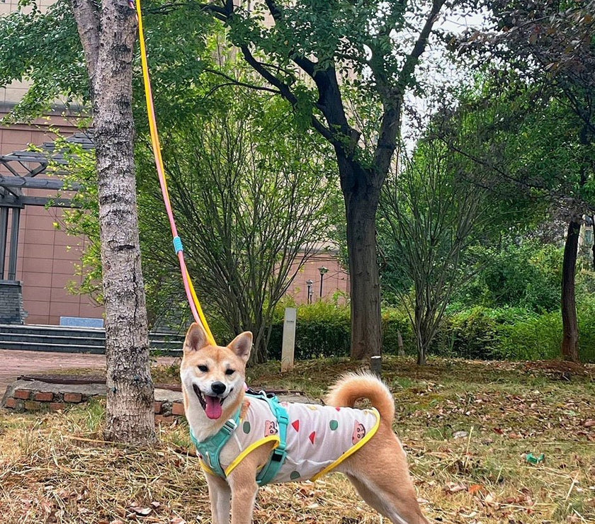 Dual - Stage Anti - Pull Foam Multi - Functional Dog Leash  - The Ultimate Hands - Free Walking Solution - 4FurBaby
