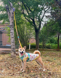Dual - Stage Anti - Pull Foam Multi - Functional Dog Leash  - The Ultimate Hands - Free Walking Solution - 4FurBaby