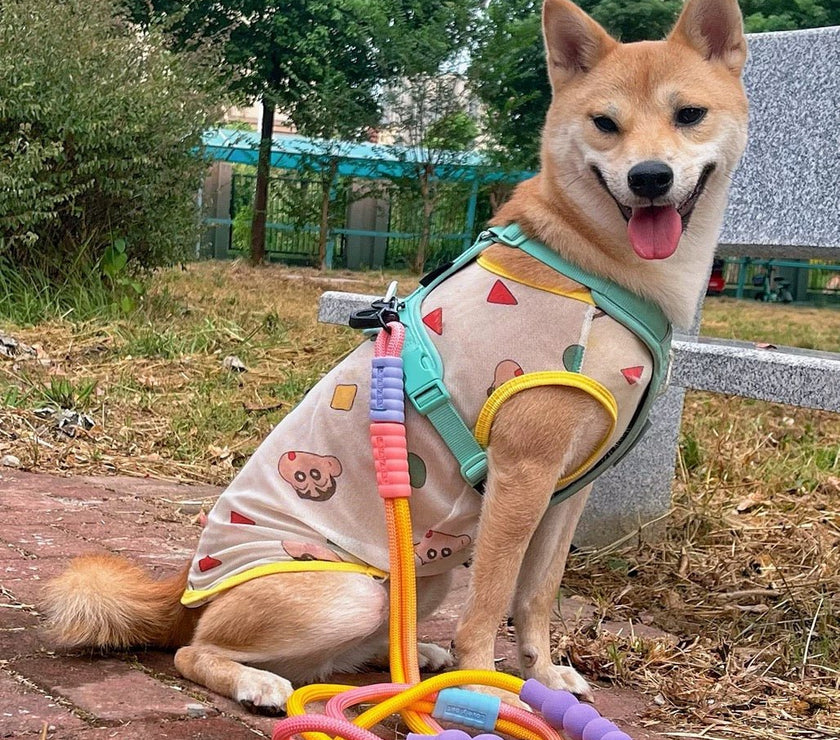 Dual - Stage Anti - Pull Foam Multi - Functional Dog Leash  - The Ultimate Hands - Free Walking Solution - 4FurBaby