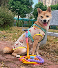 Dual - Stage Anti - Pull Foam Multi - Functional Dog Leash  - The Ultimate Hands - Free Walking Solution - 4FurBaby