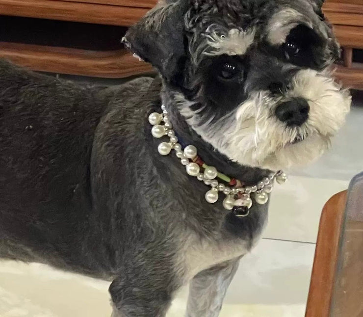 Elegant Pet Pearl Collar - Make Your Pet Shine - high - quality faux pearls with silver decorative chain - 4FurBaby