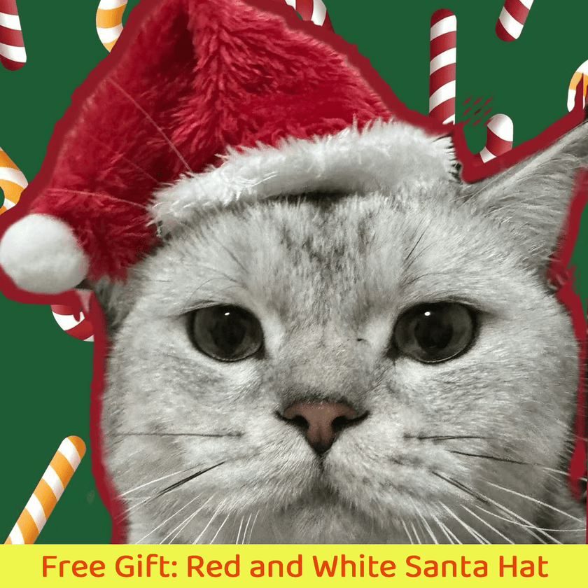 FREE SHIPPING - Stainless Steel Cat Litter Box & Toy Bundle: Holiday Set for  Feline Friend - 4FurBaby- pet Santa Hat