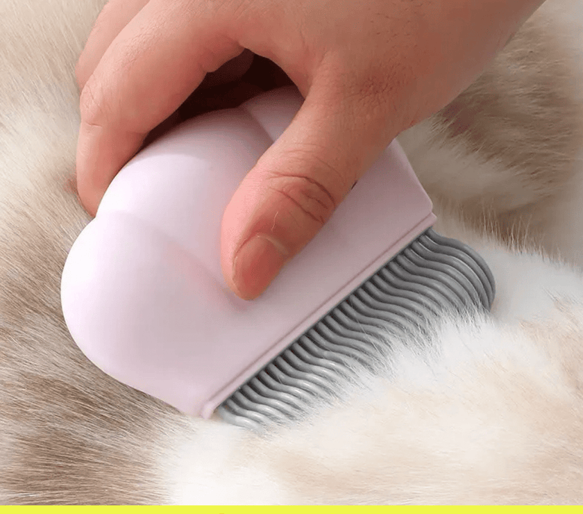 FREE SHIPPING - Stainless Steel Cat Litter Box & Toy Bundle: Holiday Set for Your Feline Friend - 4FurBaby - Cat Shell Comb