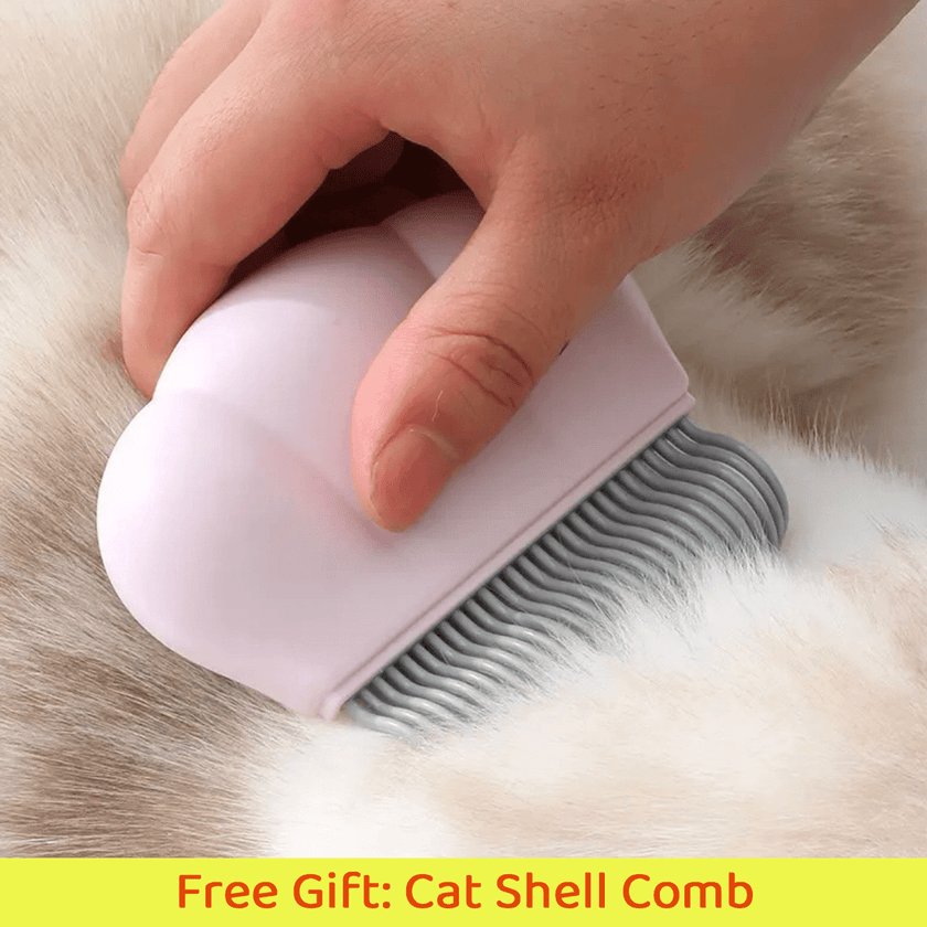 FREE SHIPPING - Stainless Steel Cat Litter Box & Toy Bundle: Holiday Set for Your Feline Friend - 4FurBaby - Cat Shell Comb
