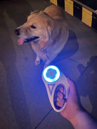 LED Light - Up Retractable Dog Leash - Automatic Pet Walking Leash with Colorful Breathing Light - 4FurBaby