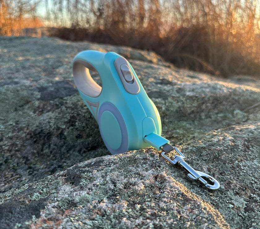 LED Light - Up Retractable Dog Leash - Automatic Pet Walking Leash with Colorful Breathing Light - 4FurBaby