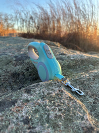 LED Light - Up Retractable Dog Leash - Automatic Pet Walking Leash with Colorful Breathing Light - 4FurBaby