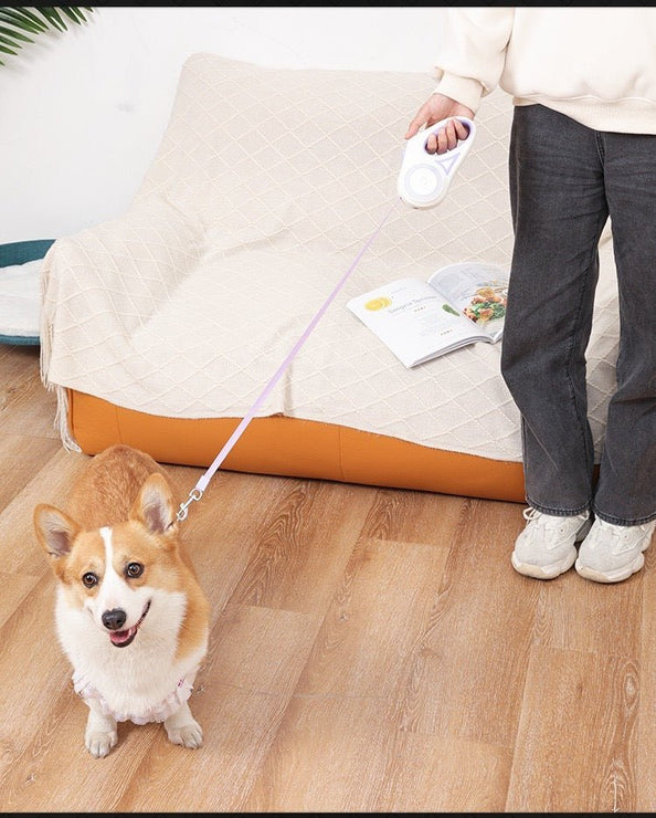 LED Light - Up Retractable Dog Leash - Automatic Pet Walking Leash with Colorful Breathing Light - 4FurBaby
