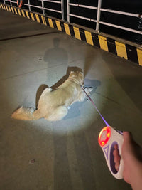 LED Light - Up Retractable Dog Leash - Automatic Pet Walking Leash with Colorful Breathing Light - 4FurBaby