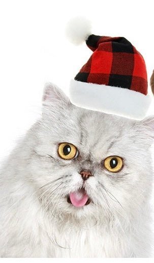 New Pet Christmas Hat - Red and Black Plaid Plush Hat, Festive Pet Headwear - 4FurBaby