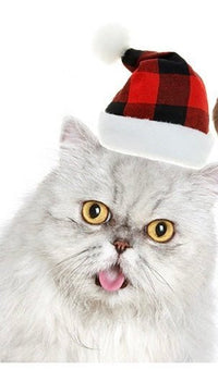 New Pet Christmas Hat - Red and Black Plaid Plush Hat, Festive Pet Headwear - 4FurBaby