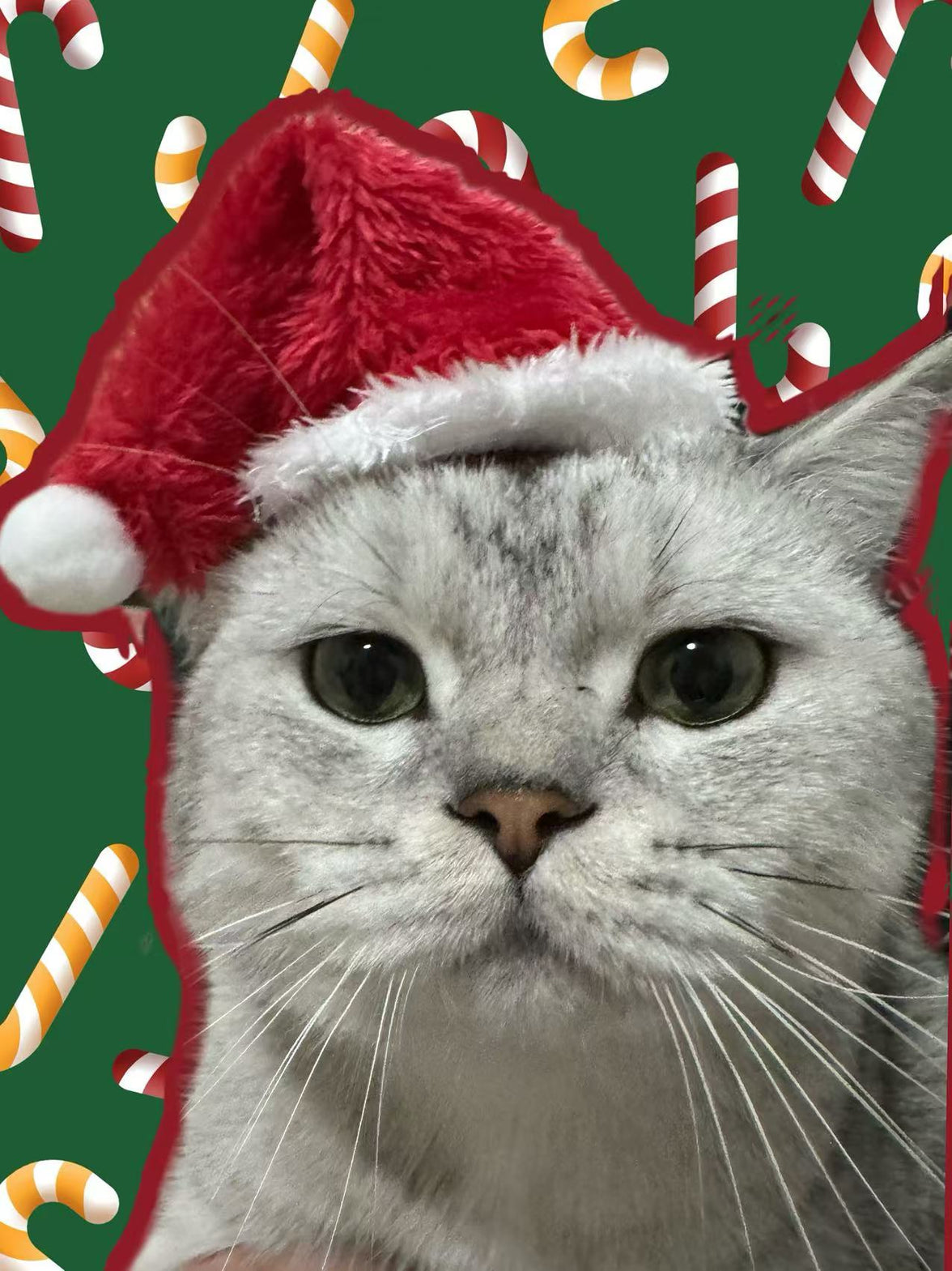 New Pet Christmas Hat - Red and Black Plaid Plush Hat, Festive Pet Headwear - 4FurBaby