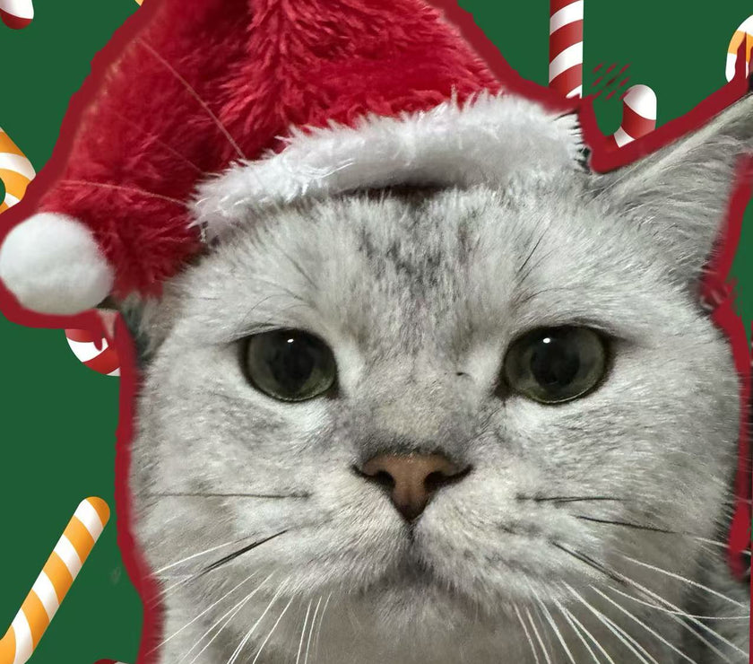 New Pet Christmas Hat - Red and Black Plaid Plush Hat, Festive Pet Headwear - 4FurBaby