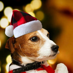 New Pet Christmas Hat - Red and Black Plaid Plush Hat, Festive Pet Headwear - 4FurBaby