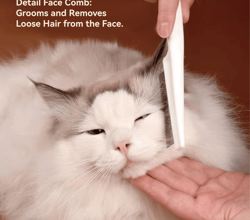 How to Use Flea Comb to Groom Cat: Easy Steps for a Happy Pet