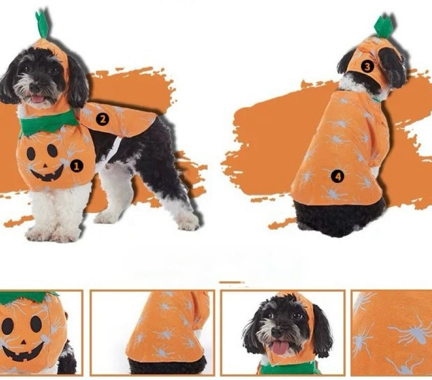 Pet Party Costume - Funny Cartoon Bat and Pumpkin Outfit for Small Dogs - 4FurBaby