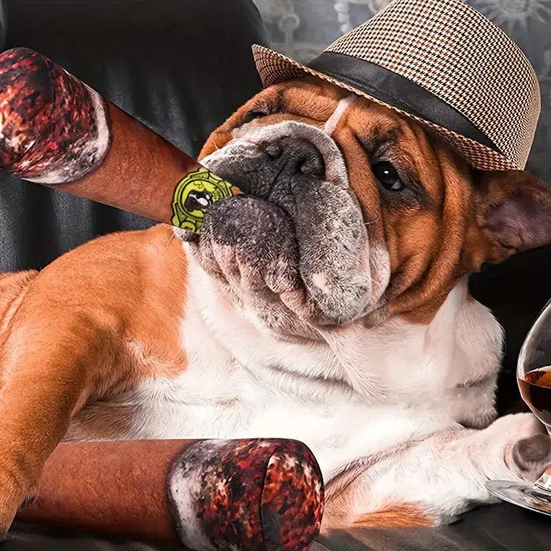 fish inside a chicken smoking a cigarette Fish Chicken Smoking Merch & Gifts for Sale fish inside a chicken smoking a cigarette Fish Chicken Smoking Merch & Gifts for Sale