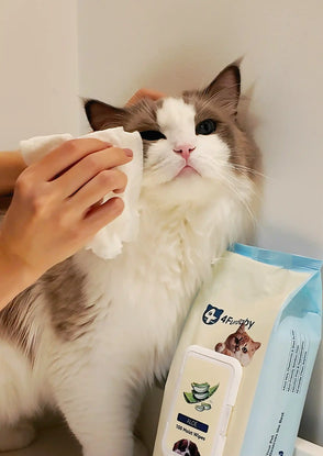 4furbaby pet wipes