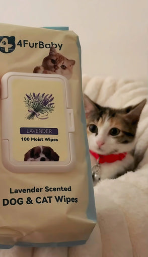 4furbaby pet wipes