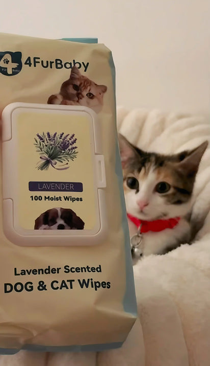 4furbaby pet wipes