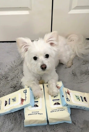 4furbaby pet wipes