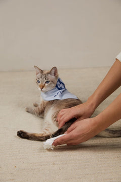 Portable 30 Wipes - 100% Plant - based Pet Wipes – Compostable, Gentle - Sensitive Skin Care - 4FurBaby