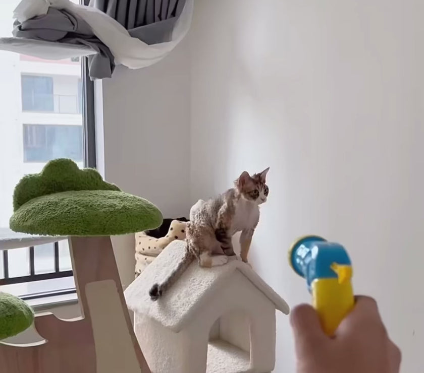 Christmas Joy Cat Interactive Toy 4furbaby