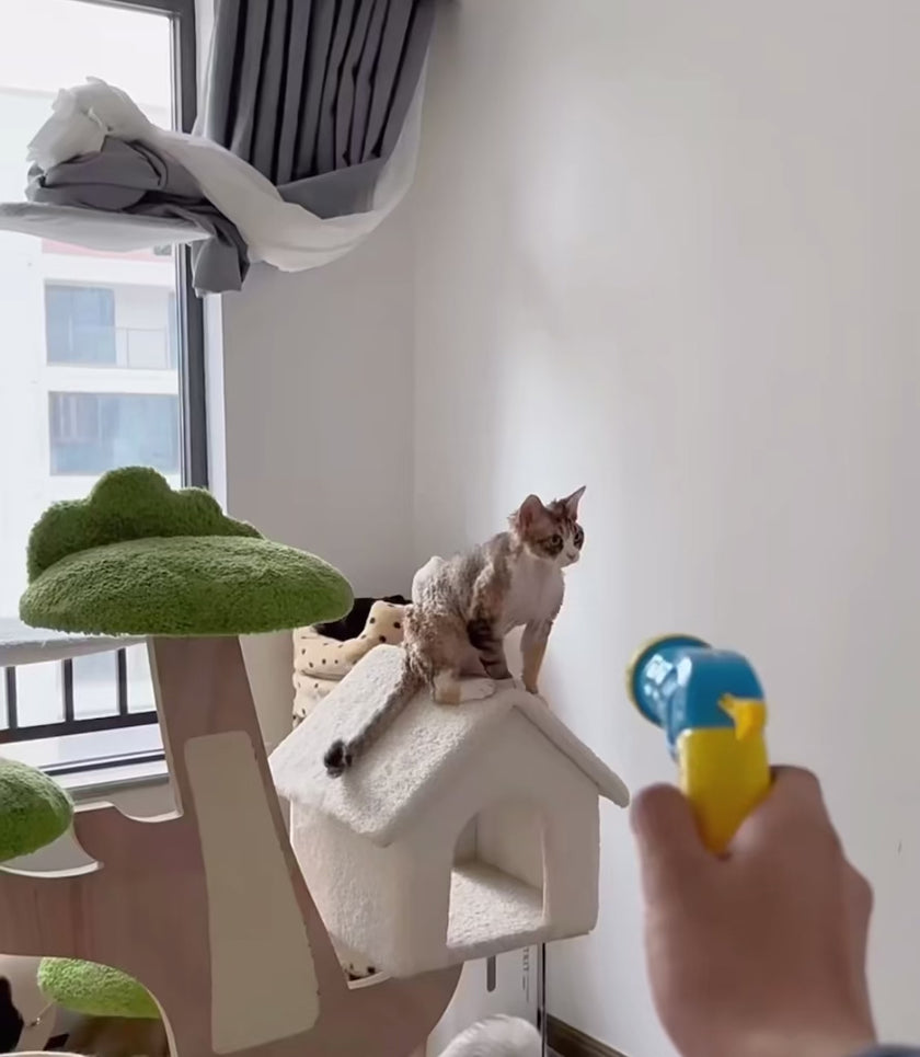 Christmas Joy Cat Interactive Toy 4furbaby