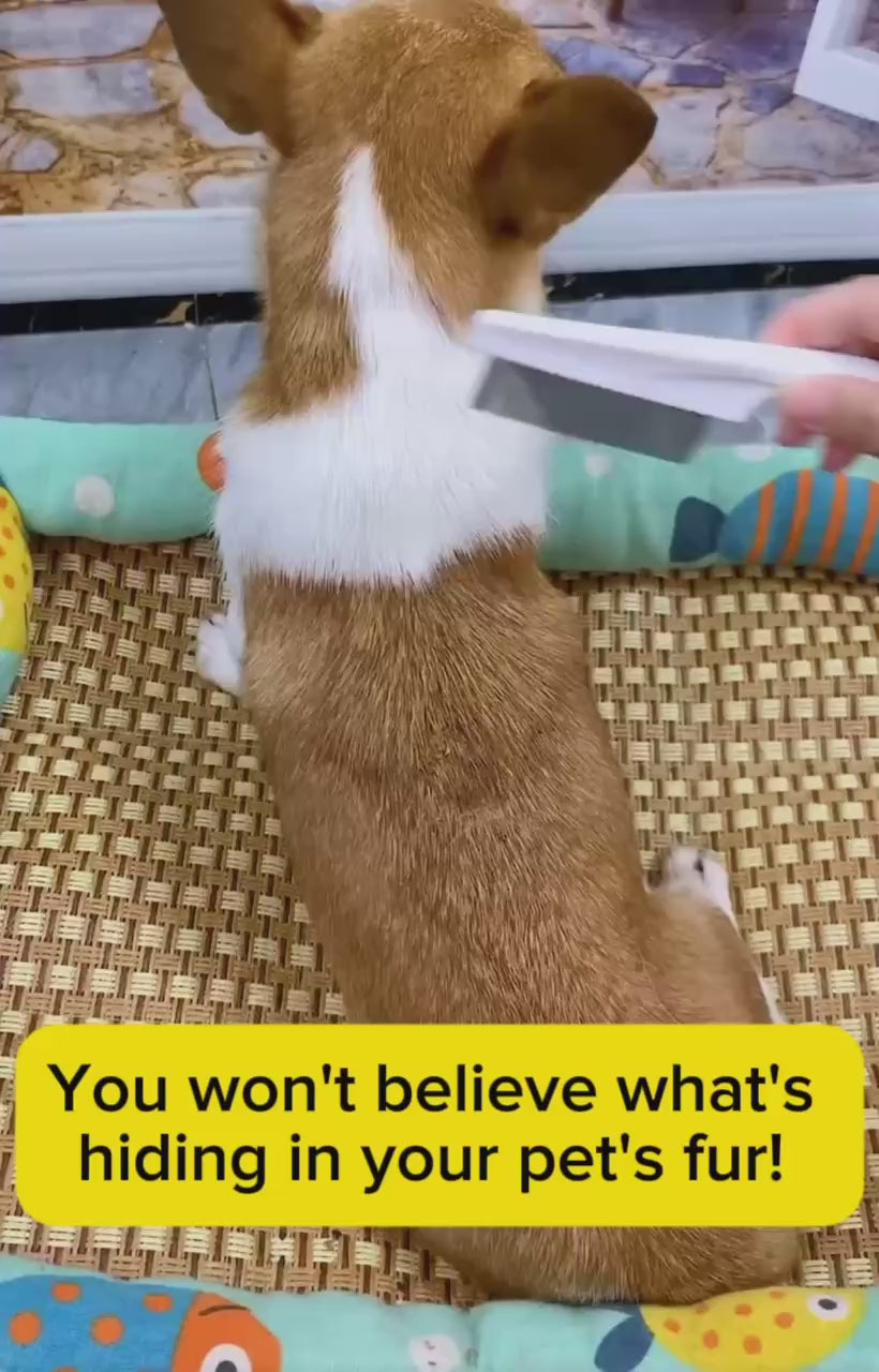 pet flea comb dense toothed 4furbaby 