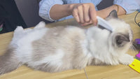 pet flea comb dense toothed 4furbaby
