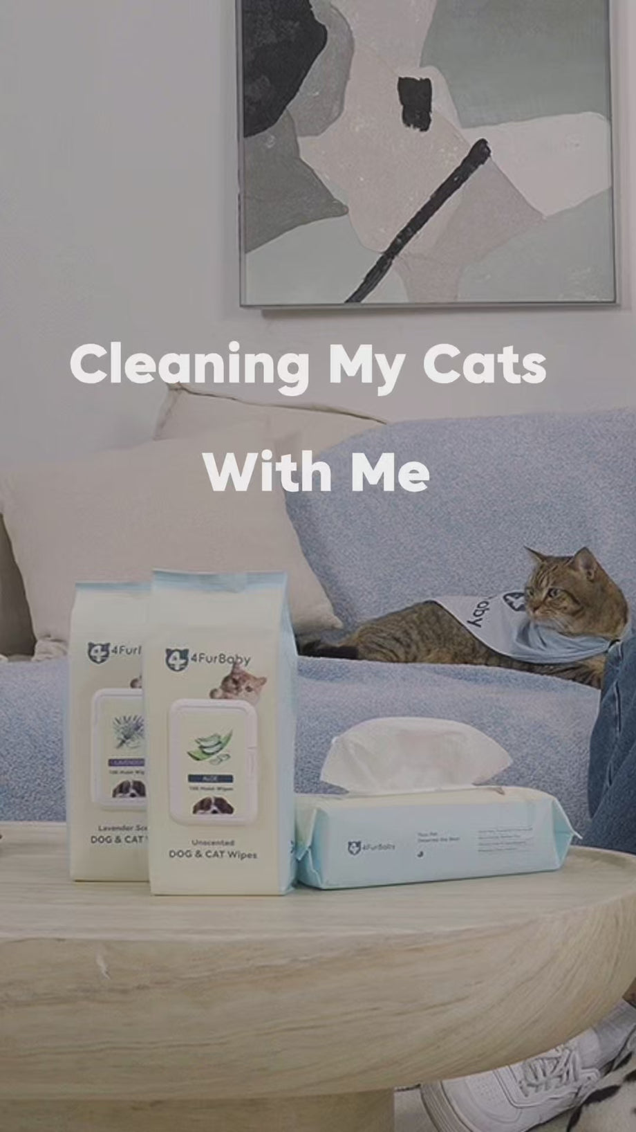 4furbaby pet wipes