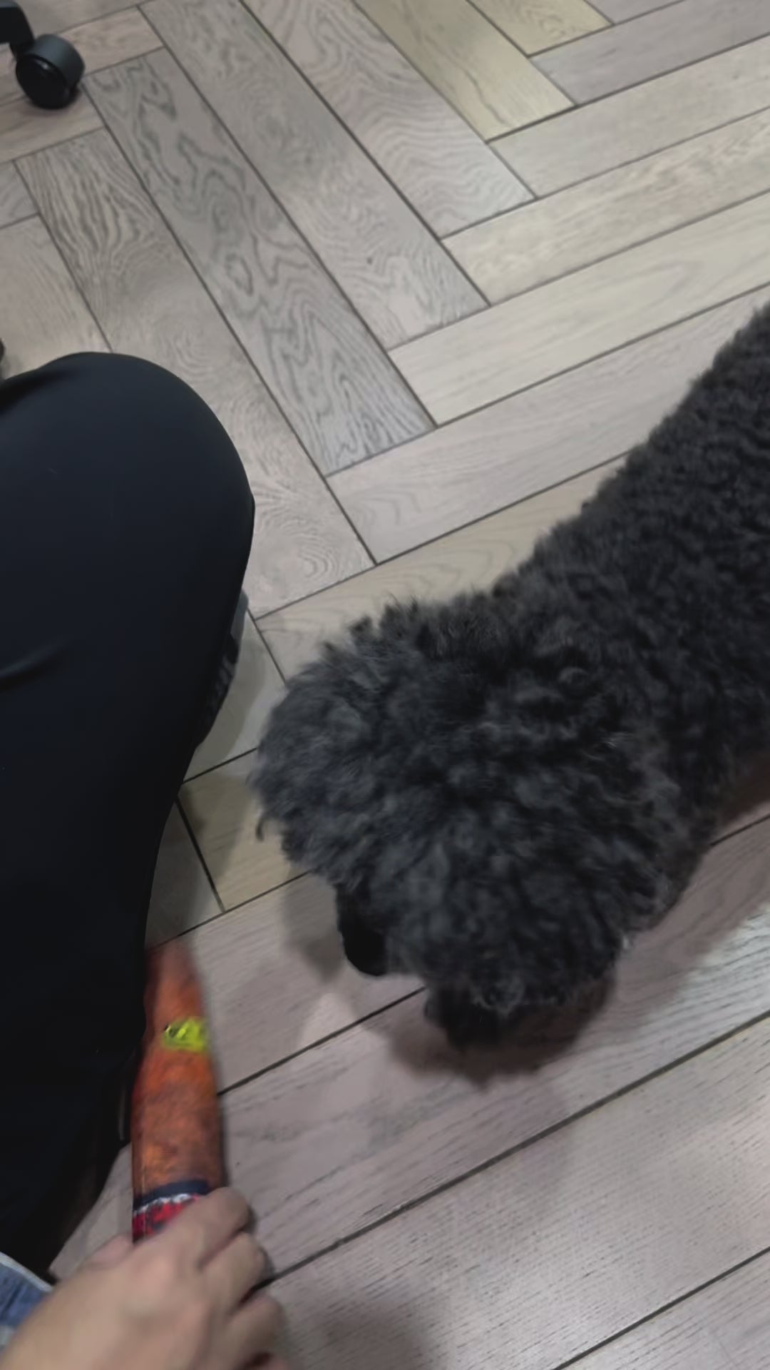 dog plush  cigar toy  4furbaby pet toys