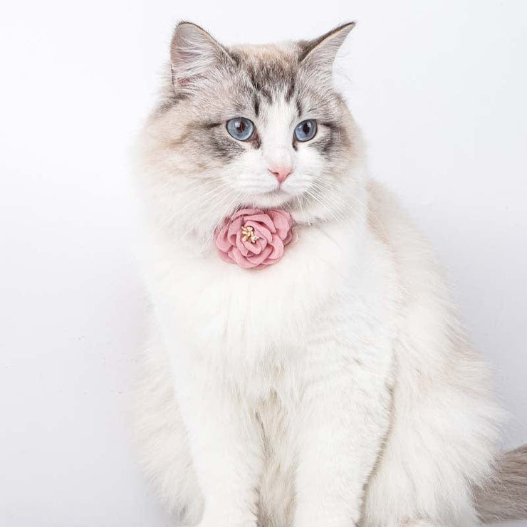 Realistic Camellia Cat Collar - Stylish and Cute Solid Color Pet Necklace - 4FurBaby