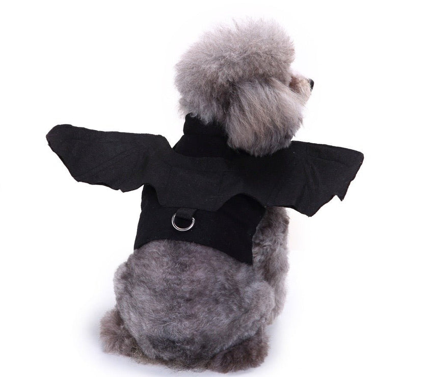 Small Dog Costume - Cute Bat Outfit And Rocket Suit for Party Time and Christmas - 4FurBaby