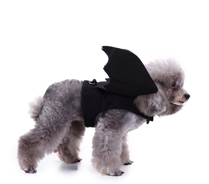 Small Dog Costume - Cute Bat Outfit And Rocket Suit for Party Time and Christmas - 4FurBaby