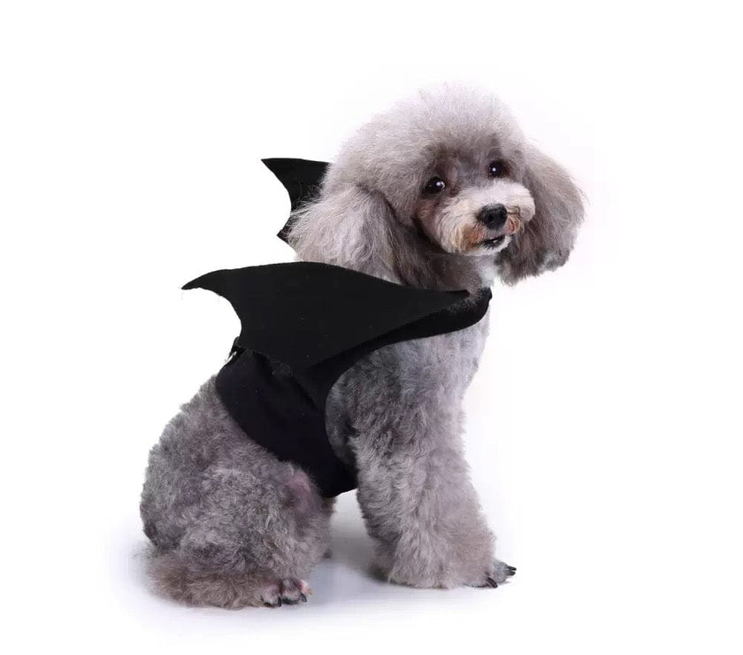 Small Dog Costume - Cute Bat Outfit And Rocket Suit for Party Time and Christmas - 4FurBaby