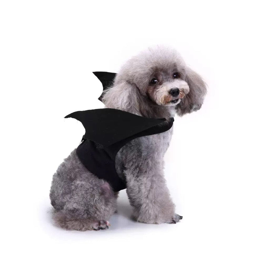 Small Dog Costume - Cute Bat Outfit And Rocket Suit for Party Time and Christmas - 4FurBaby