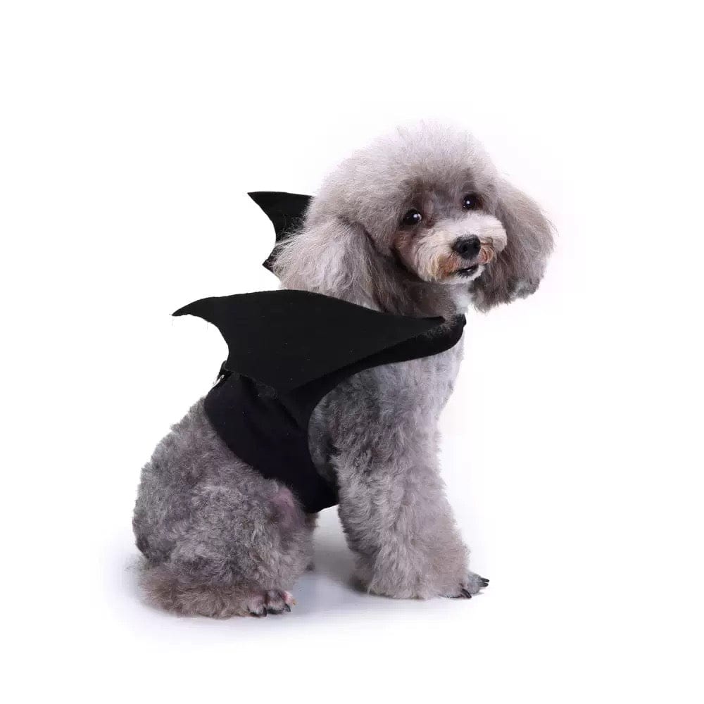 Small Dog Costume - Cute Bat Outfit And Rocket Suit for Party Time and Christmas - 4FurBaby