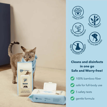 Cat with a package of pet wipes and product information on a blue background